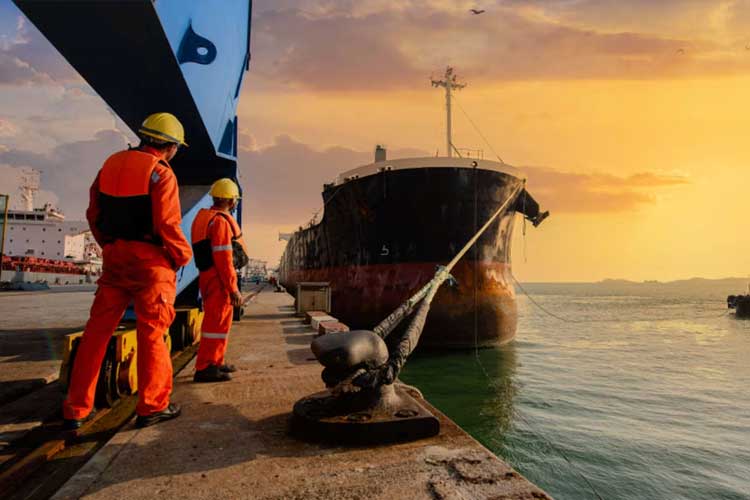 Husbandry Services - Shipping Protection